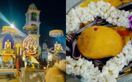 மாம்பழம் விலை பத்து லட்சமா! யாழ்ப்பாணம் கோவிலில் விலை போன மாம்பழம்