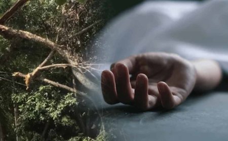 மரக்கிளை முறிந்து வீழ்ந்ததில் பெண் பலி!