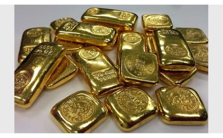 வேலியே பயிரை மேய்ந்தது.