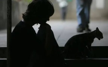 இலங்கையில் ஐந்தில் ஒருவருக்கு மன நோய்?