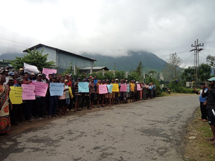 2000 வேண்டும் மஸ்கெலியாவில் போராட்டம்!