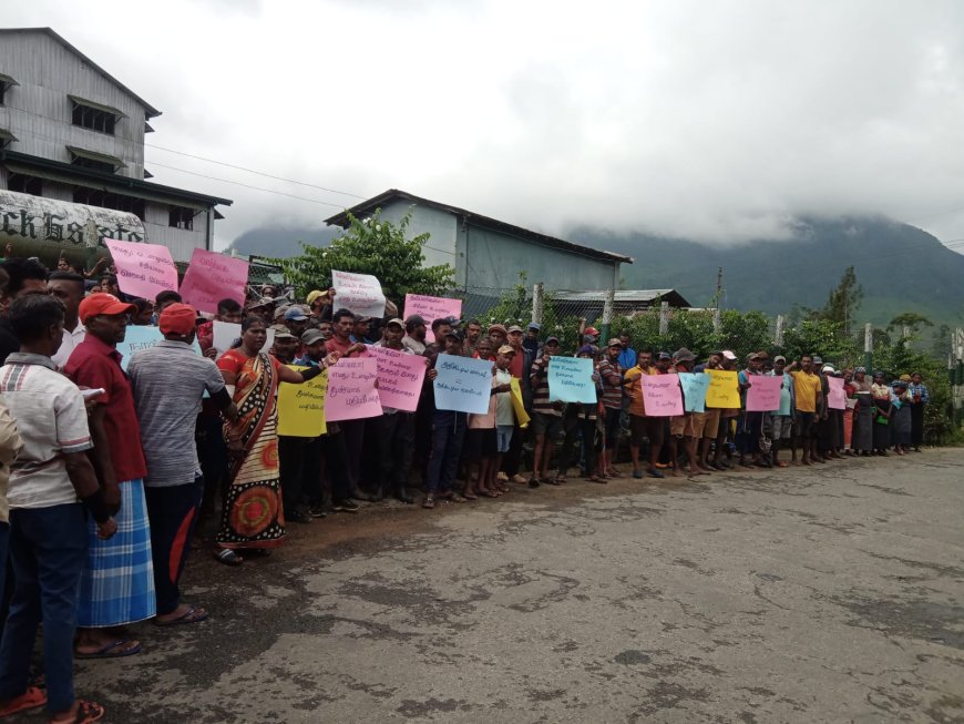 2000 வேண்டும் மஸ்கெலியாவில் போராட்டம்!