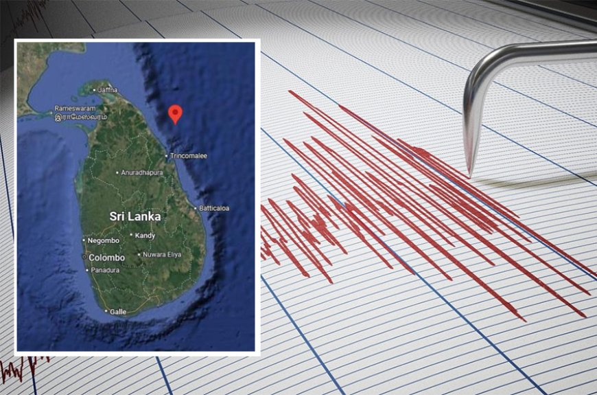 திருகோணமலை கடற்கரை பகுதியில் 3.9 மெக்னிடியூட் அளவில் நில அதிர்வு உணரப்பட்டுள்ளது.