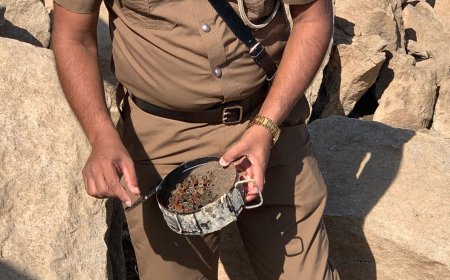 கதிர்காமம் வேஹெரகல நீர்த்தேக்கத்தில் கண்டுபிடிக்கப்பட்ட பெருமளவு ஆயுதங்கள்!