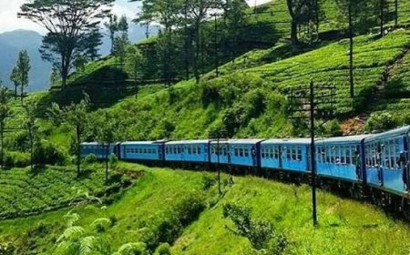 இன்றும் மட்டுப்படுத்தப்பட்ட மலையக ரயில் சேவைகள்