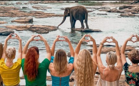 இந்த ஆண்டு Tourism மூலம் எதிர்ப்பார்க்கும் தொகை... 3,000 கோடி :