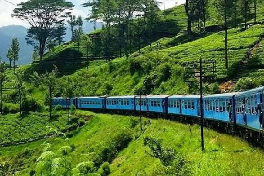 இன்றும் மட்டுப்படுத்தப்பட்ட மலையக ரயில் சேவைகள்