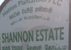 இரண்டு தோட்ட பிரிவுகளை இணைப்பதனை எதிர்த்து பணி பகிஷ்கரிப்பில் ஹட்டன் செனன் தோட்ட தொழிலாளர்கள்!