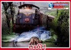 உடரட்ட மெனிக்கே ரயில் மோதி ஒருவர் உயிரிழப்பு!