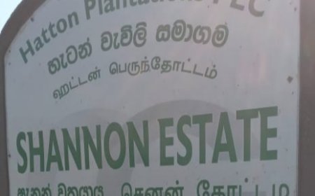 இரண்டு தோட்ட பிரிவுகளை இணைப்பதனை எதிர்த்து பணி பகிஷ்கரிப்பில் ஹட்டன் செனன் தோட்ட தொழிலாளர்கள்!