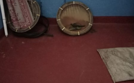 சட்ட விரோத மாணிக்க கல் அகழ்வில் ஈடுபட்டு வந்த இருவர் மஸ்கெலியாவில் கைது!