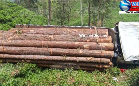 மரக்குற்றிகளை ஏற்றிச் சென்ற லாரி கவிழ்ந்து விபத்து!