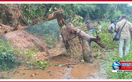 நோட்டன் மஸ்கெலியா பிரதான வீதியில் மண் திட்டுகள் சரிந்து விழுந்ததில் போக்குவரத்து நடவடிக்கைகள் துண்டிப்பு.