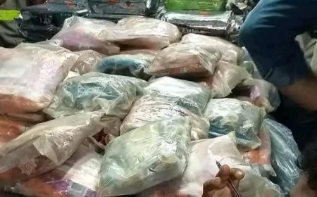 தென்கடல் போதைப் பொருள் மீட்பு முன்னாள் SJB பிரதேச சபை உறுப்பினர் கைது!