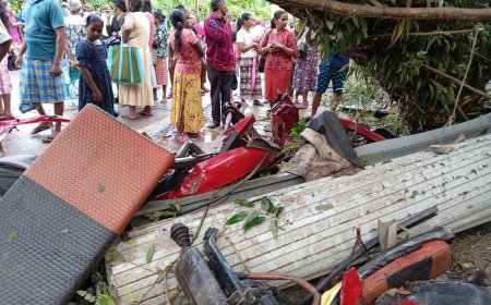 மாவனெல்லை – ரம்புக்கனை பகுதி மரம் சரிந்து வீழ்ந்து விபத்து: ஒருவர் உயிரிழப்பு, மூவர் காயம்