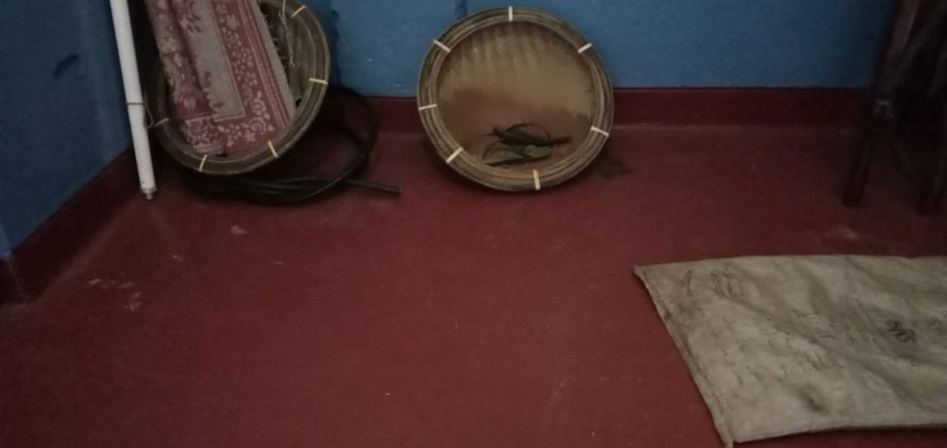 சட்ட விரோத மாணிக்க கல் அகழ்வில் ஈடுபட்டு வந்த இருவர் மஸ்கெலியாவில் கைது!