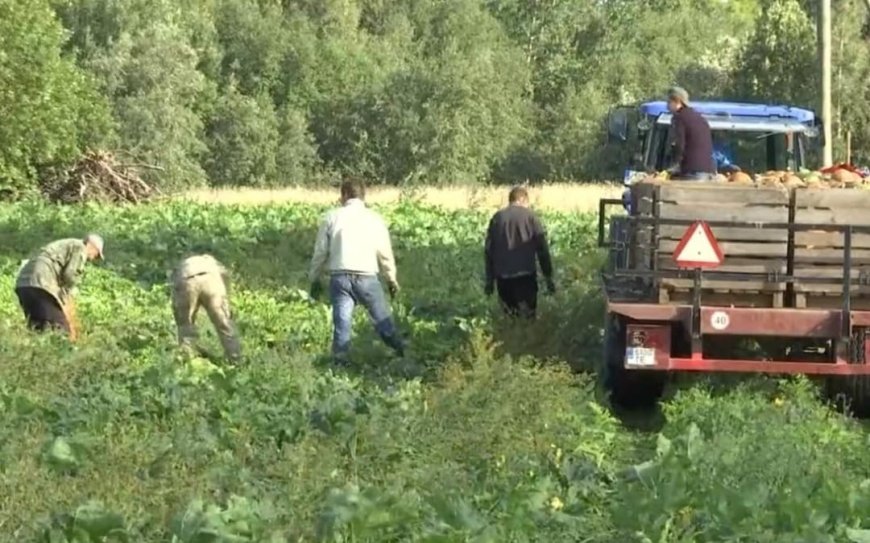 Special news: இலங்கை தொழிலாளர்கள் மீது ரசாயன தாக்குதல்!!