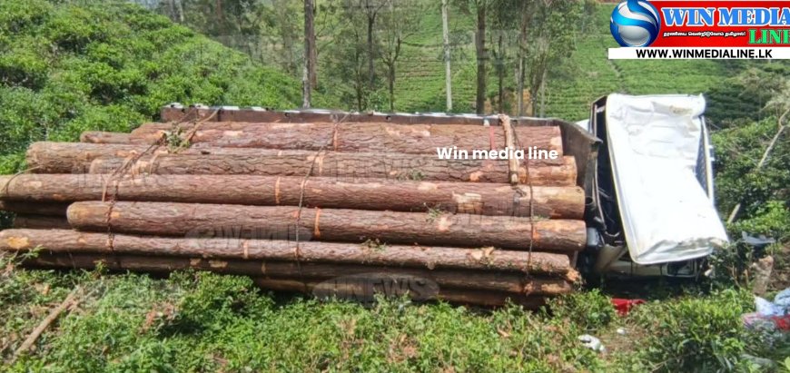 மரக்குற்றிகளை ஏற்றிச் சென்ற லாரி கவிழ்ந்து விபத்து!