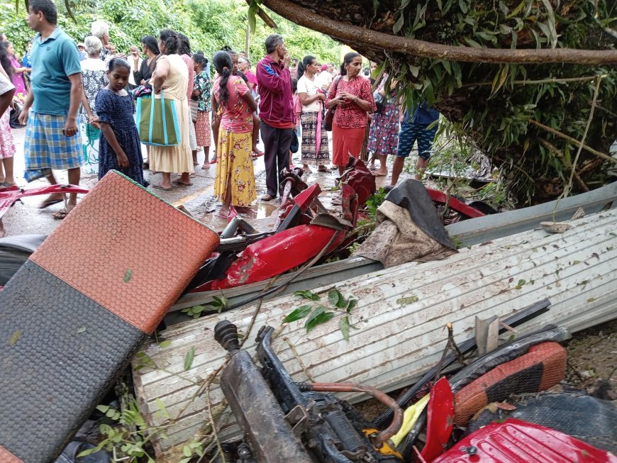 மாவனெல்லை – ரம்புக்கனை பகுதி மரம் சரிந்து வீழ்ந்து விபத்து: ஒருவர் உயிரிழப்பு, மூவர் காயம்