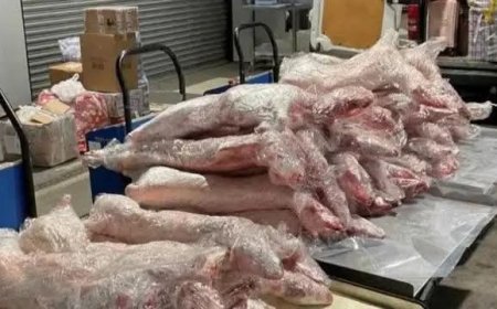 வெள்ளம் மற்றும் மின்வெட்டால் பழுதடைந்த 12,000 கிலோகிராம் இறைச்சி பறிமுதல்: