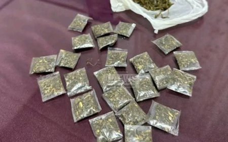 மஸ்கெலியாவில் கஞ்சா வுடன் நால்வர் கைது