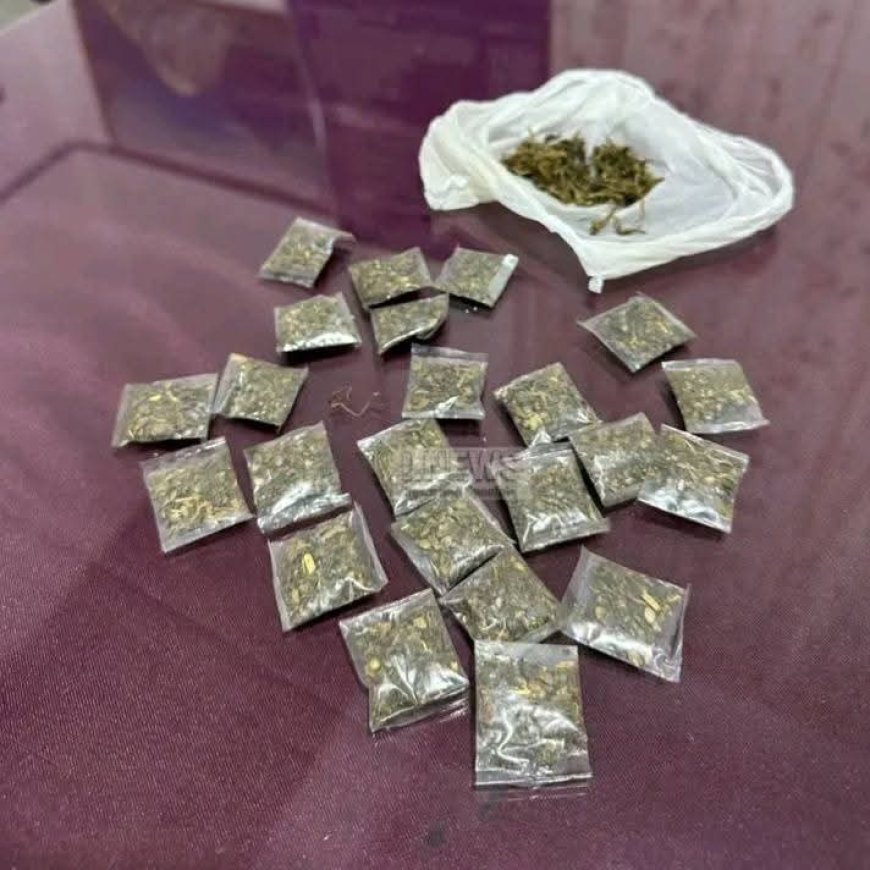 மஸ்கெலியாவில் கஞ்சா வுடன் நால்வர் கைது