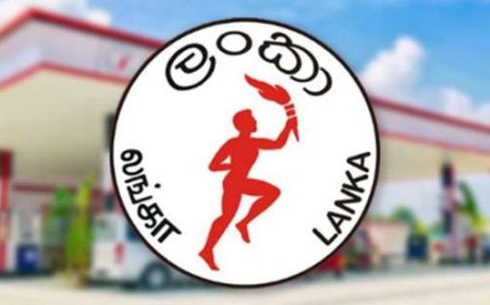 அரச வாகனங்களுக்கு எரிபொருள் பெற டிஜிட்டல் அட்டை – அமைச்சரவை ஒப்புதல்