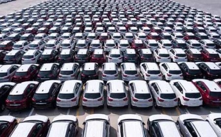 வாகன இறக்குமதி மூலம் அரசாங்கம் எதிர்பார்த்ததை விட இருமடங்கு வருமானத்தைப் பெற்றுள்ளது