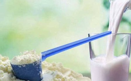 நாட்டில் பால்மா, கோதுமை மாவு விலை உயர்வு இல்லை