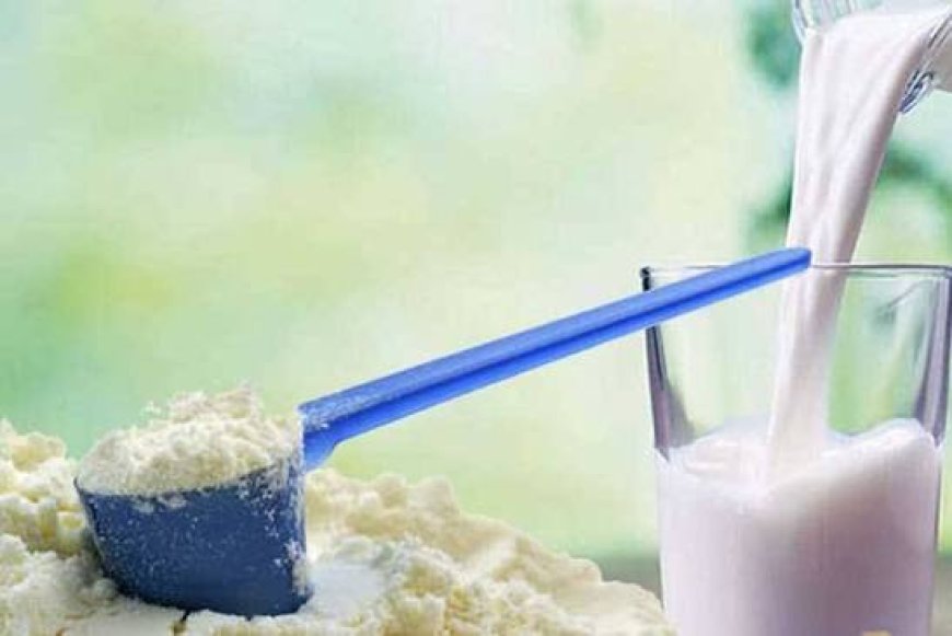 நாட்டில் பால்மா, கோதுமை மாவு விலை உயர்வு இல்லை