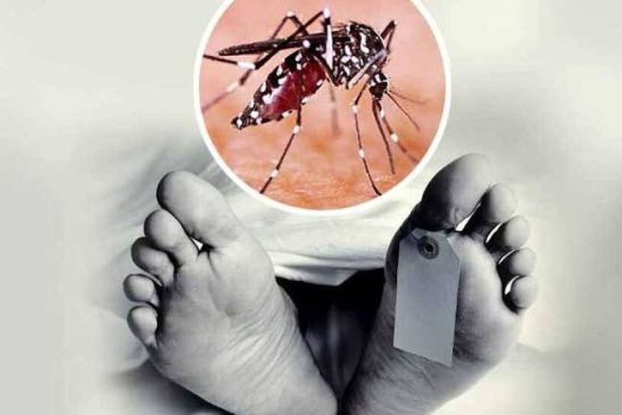 நாட்டில் டெங்கு காய்ச்சலினால் இதுவரை இரண்டு சிறுவர்கள் உட்பட 12 பேர் உயிரிழப்பு!